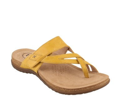 Women's Perfect Sandal by Taos S2023 – Owatonna Shoe