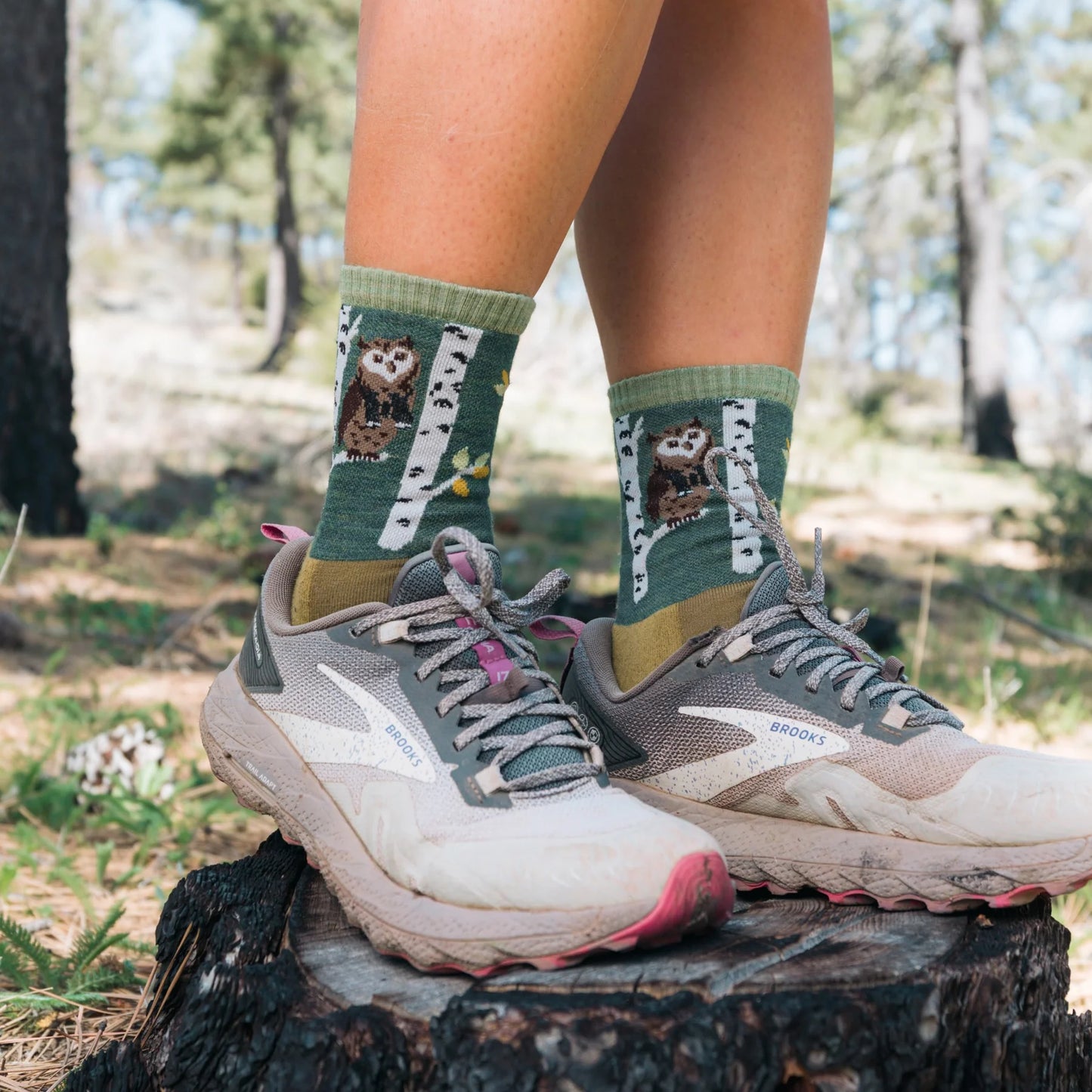 Women's Critter Club Micro Crew Lightweight Hiking Socks by Darn Tough